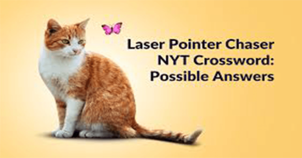 laser pointer chaser nyt